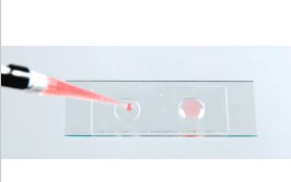 MICROSCOPE SLIDE WELLS, 2-WELLS (25)