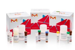 LIPID PEROXIDATION (MDA) ASSAY KIT