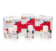 GALACTOSE ASSAY KIT