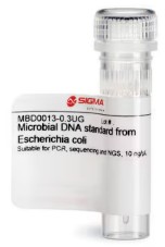 MICROBIAL DNA STANDARD FROM E. COLI (0,3 UG)