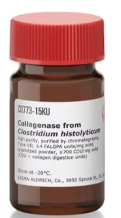 COLLAGENASE CLOSTRIDIUM HISTOLYCIUM (3000 UNITS)