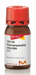 PHENOXYACETYL CHLORIDE 98% (50 G)