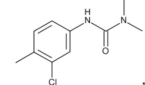 CHLOROTOLURON 10 UG/ML IN ACETONITRILE (10 ML)