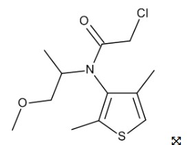 DIMETHENAMID-P 10 UG/ML IN METHANOL (10 ML)