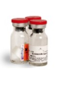 SAFRANINA SOLUCION (1000 ML)