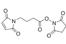 N-SUCCINIMIDYL4-MALEIMIDOBUTYRATE (100 MG)