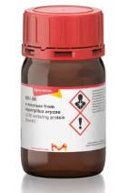 αα-AMILASA FROM ASPERGILLUS ORYZAE (1MU)