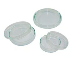PLACA PETRI VIDRIO 100X15 MM (20)