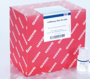 miRNEASY MICRO KIT (50)