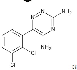 LAMOTRIGINE  (10 mg)