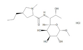 LINCOMYCIN HYDROCHLORIDE ((50 mg)