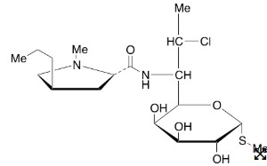 CLINDAMYCIN (25 mg)