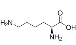 L-LISINA (100 G)
