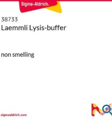 LAEMMLI LYSIS-BUFFER (5 ML)