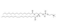 16:0-18:1 PC (25 MG)