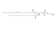 18:1-16:0 PC (25 MG)