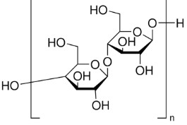 CELLULOSE NANOFIBERS (25 ML)