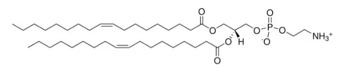 18:1 (A9-Cis) PE (DOPE)  (200MG)