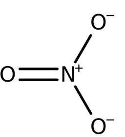 NITRATO SOLUCION PATRON 1000PPM IC (250 ML)