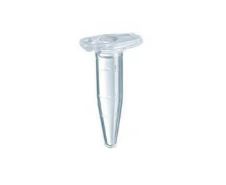 TUBO EPPENDORF 0,5 ML PROTEIN LOBIND (250)