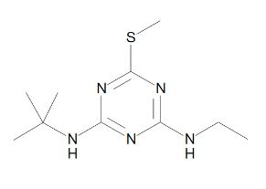 TERBUTRYN 10ng/µl 10ml