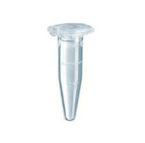 TUBO EPPENDORF 1.5 ML  PROTEIN LOBIND (100