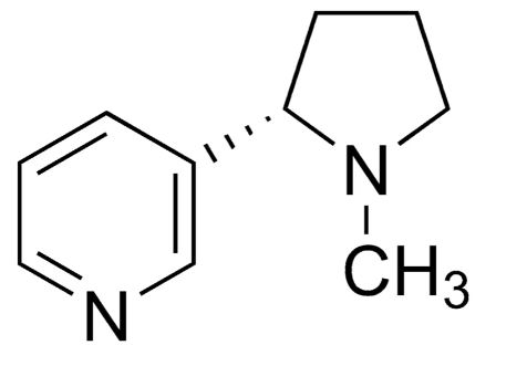 (-)-NICOTINA  99% (5)