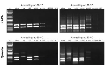 KAPA2G Fast HotStart Genotyping Mix