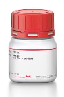 HEPES SODIUM SALT 99.5%  (25G)