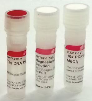 TAQ DNA POLUMERASE FROM THERMUS AQUATICUS (250)