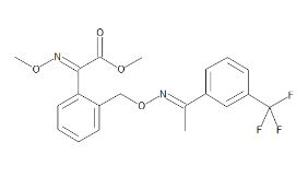 TRIFLOXYSTROBIN (100 mg)