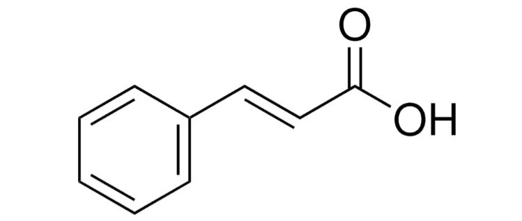 ACIDO CINAMICO (100MG)