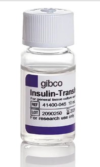 INSULIN TRANSFERRIN SELENIUM (ITS -G) (100X)