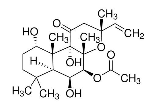 FORSKOLIN FROM COLEUS FORSKOHLII (10MG)