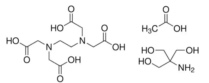 TRIS ACETATE-EDTA BUFFER (1000ML)